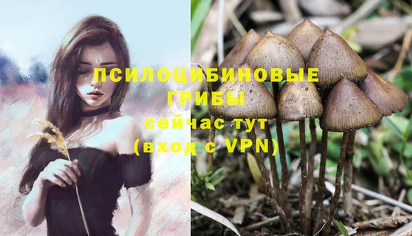 каннабис Зерноград