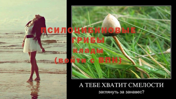 mdma Елабуга