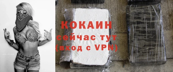 mdpv Заводоуковск